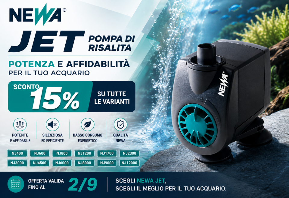 NEWA 